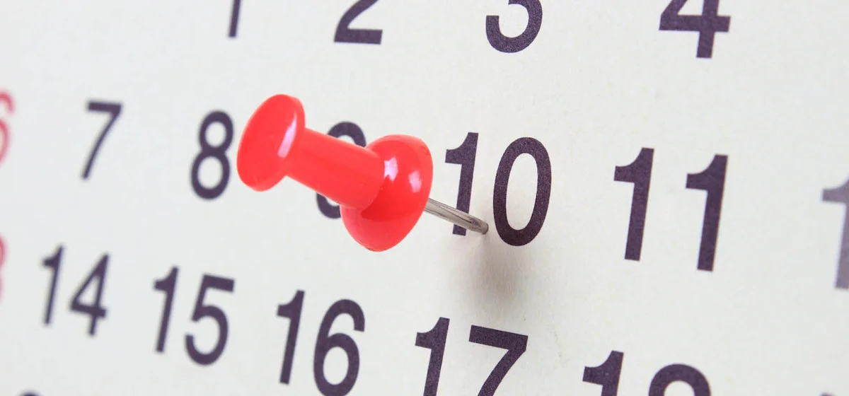 Travel Insurance Policy Review Period