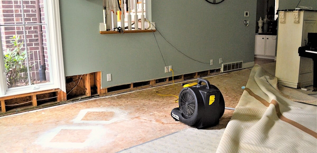 Travel Insurance for Damage at Home