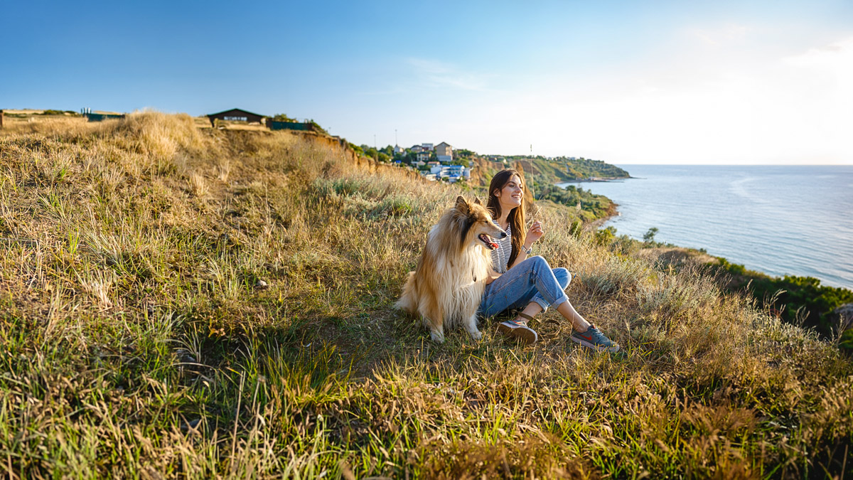 Pet Friendly Travel Tips & Pet Travel Insurance