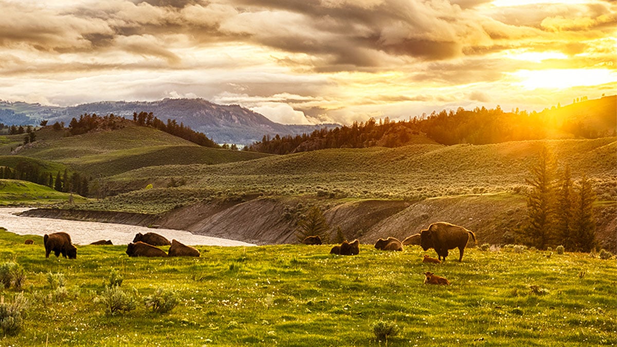 National Park Family Vacations