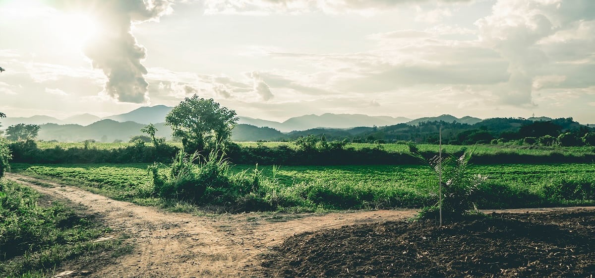 Changing Travel Plans