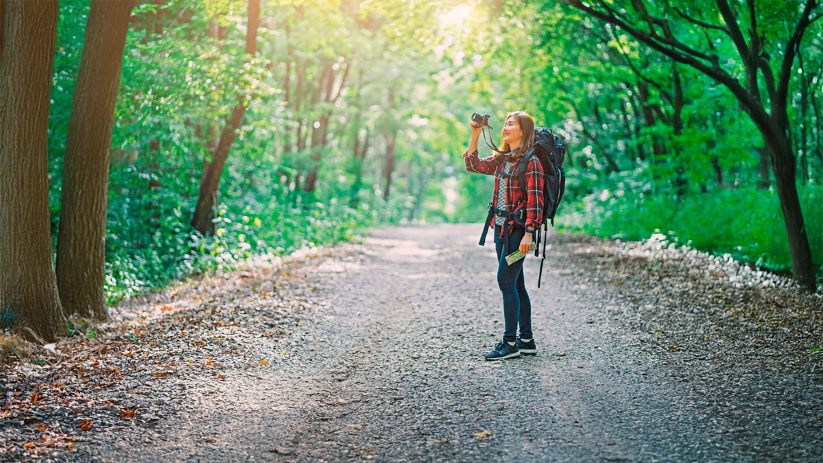 Best Beginner Hiking Trails