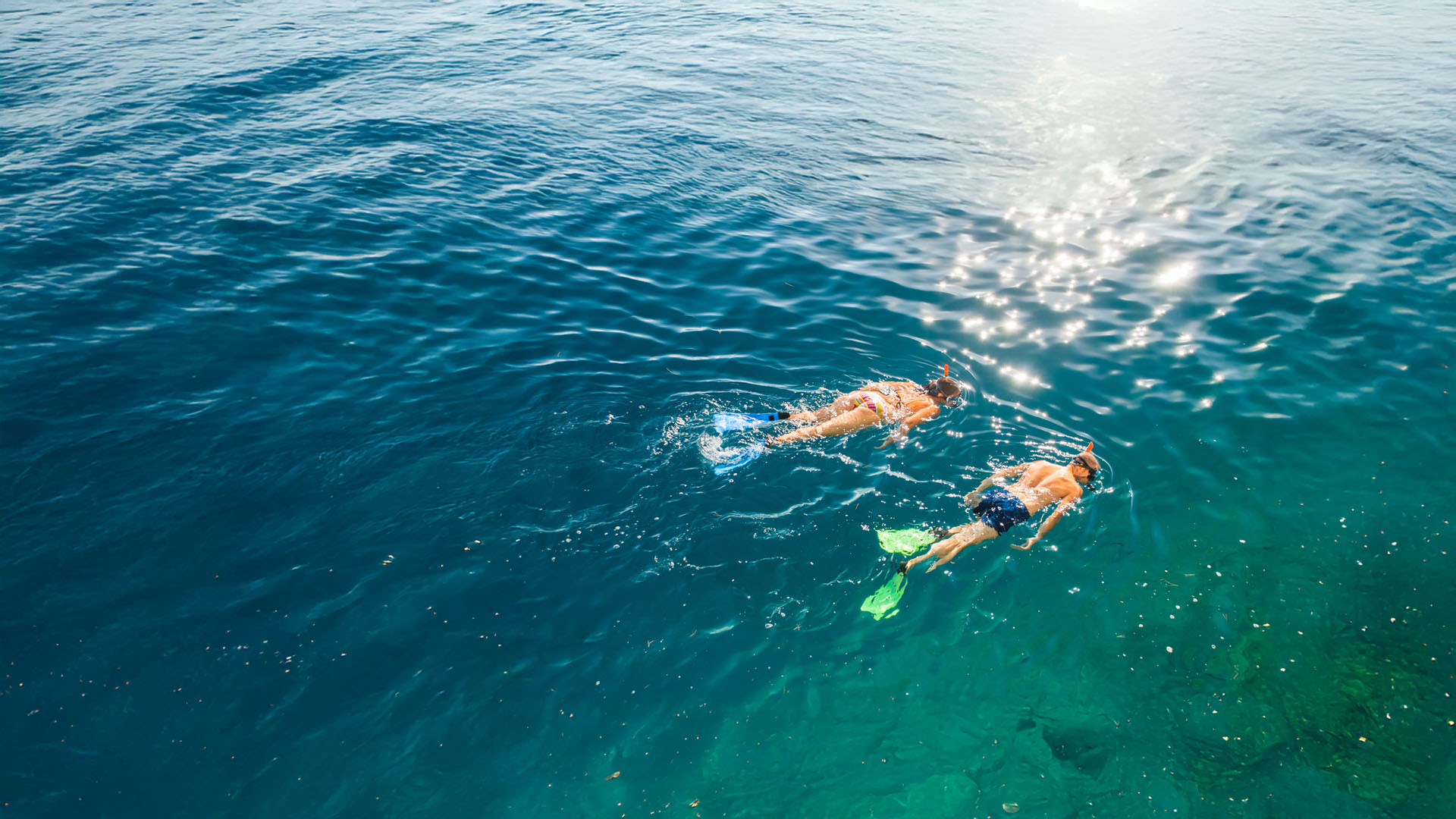 Snorkeling Travel Insurance Coverage by SOVENTURE